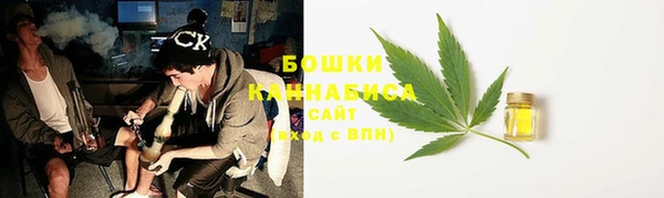 ГАЛЛЮЦИНОГЕННЫЕ ГРИБЫ Алексеевка