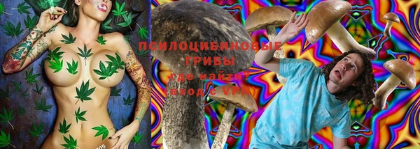 ГАЛЛЮЦИНОГЕННЫЕ ГРИБЫ Алексеевка