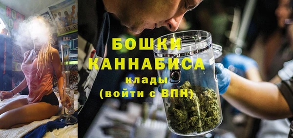 ГАЛЛЮЦИНОГЕННЫЕ ГРИБЫ Алексеевка