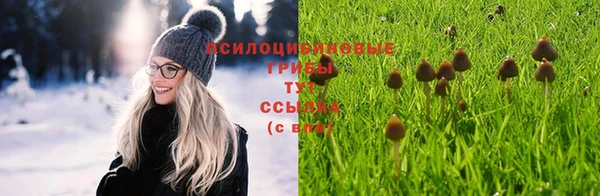 соль курить ск Алексин