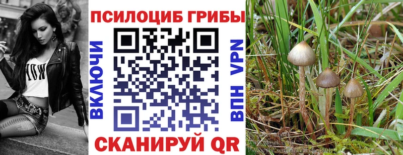 Галлюциногенные грибы GOLDEN TEACHER  Самара 